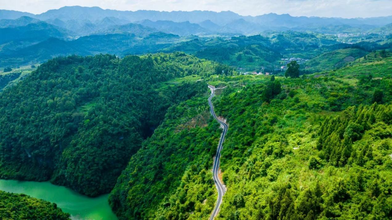 图片9.jpg 图片9.jpg