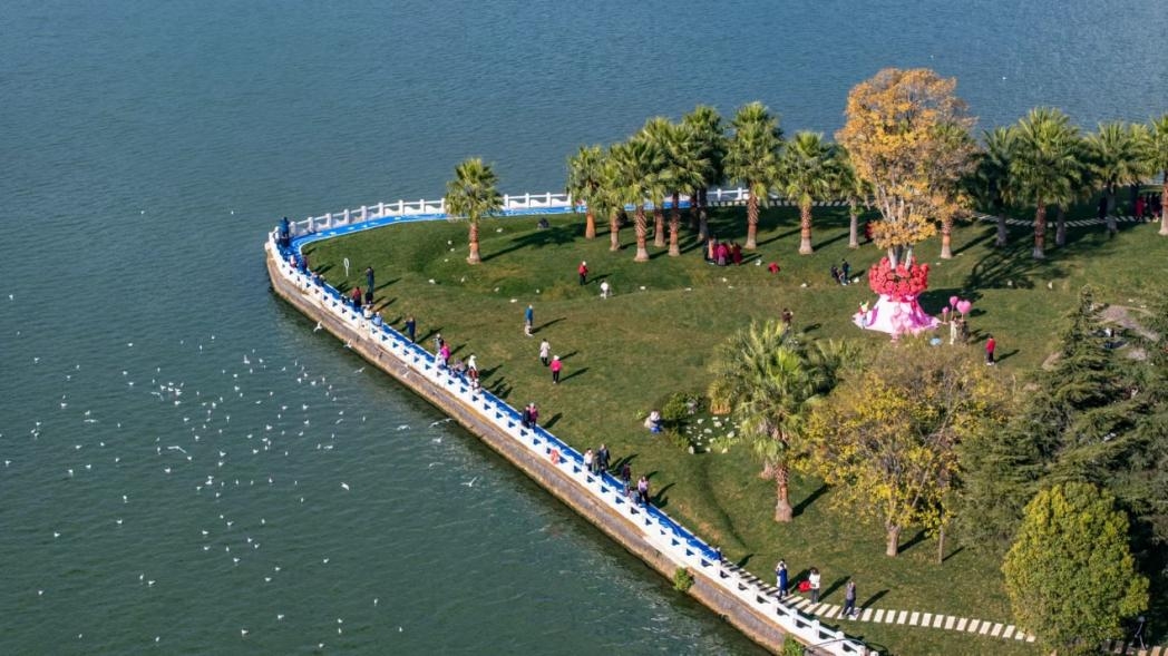 福保半岛实景图.jpg 福保半岛实景图.jpg